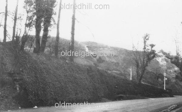 Image number 1081&prevurl=cockshothill
