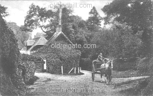 Image number 1138&prevurl=year1911