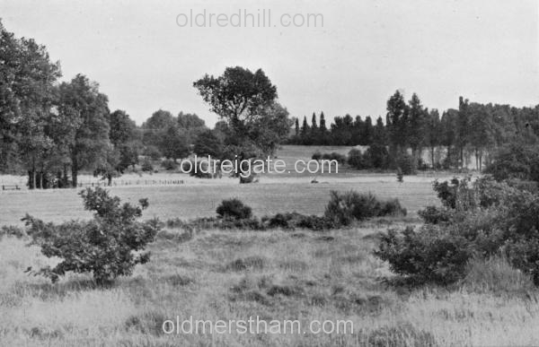 Image number 1448&prevurl=year1955