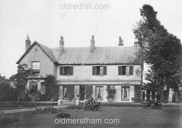 Image number 495&prevurl=year1878