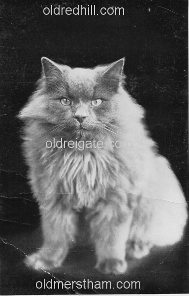 Image number 5528&prevurl=publishers289