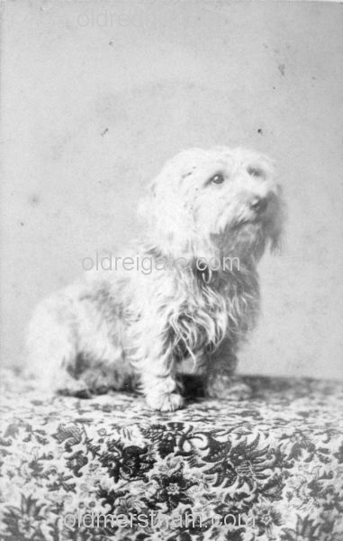 Image number 6193&prevurl=publishers191