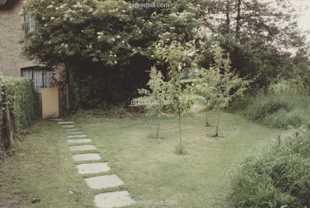 Image number 8618&prevurl=whatsnew