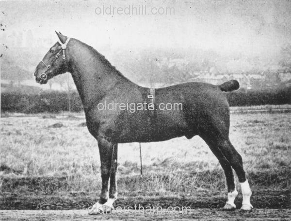 Image number 99&prevurl=voganclose